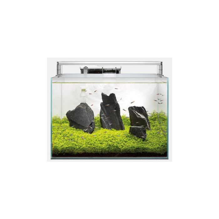 Superfish Scaper 60 Aquarium.